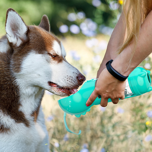 Multifunctional Dog Drinking Bottle